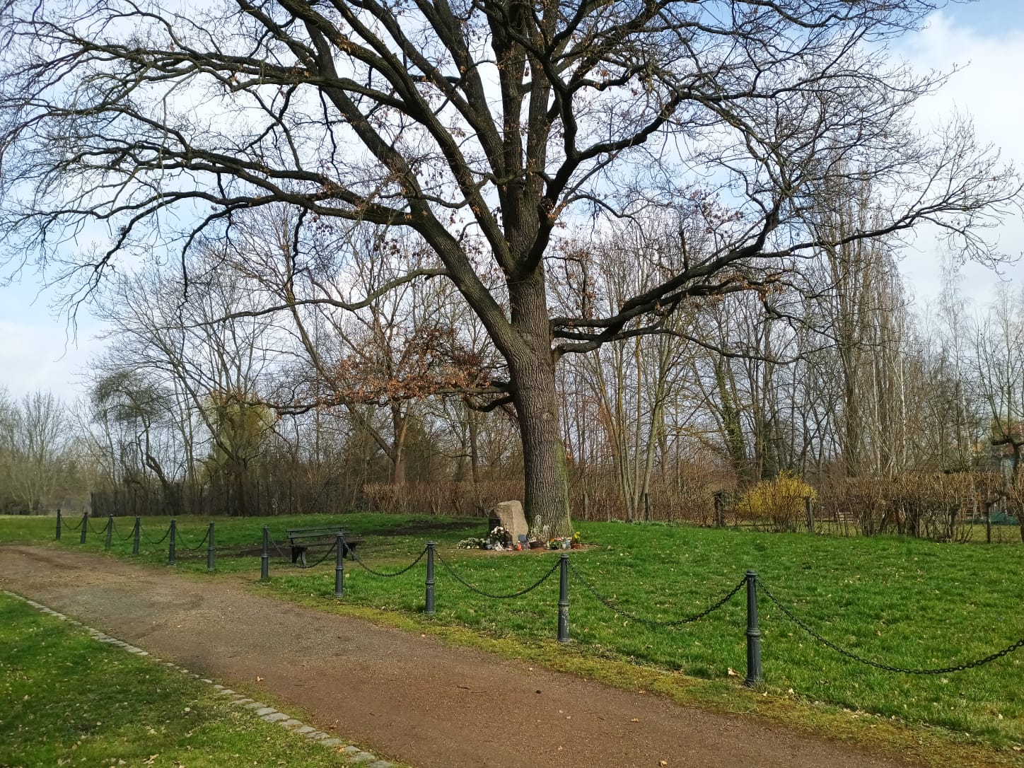 Baum - anonym.rip